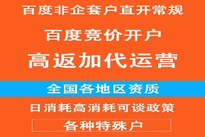 百度竞价推广在电商领域的赚钱案例